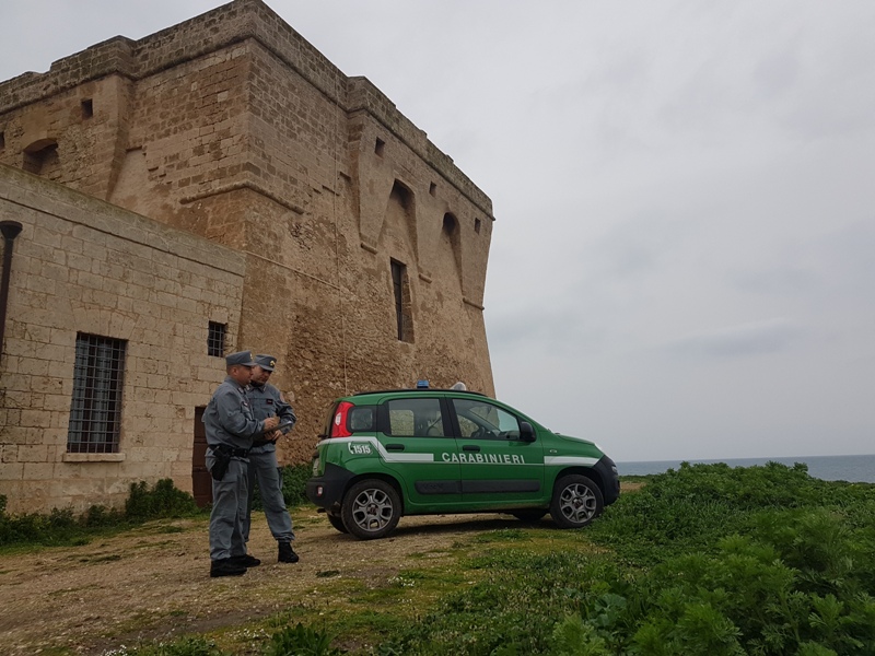 Torre Guaceto, Carabinieri forestali: “Indagini in corso su responsabilità. Distrutti 3 ettari di vegetazione”
