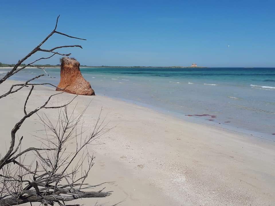 Emiliano: “In Puglia e Sardegna il mare più pulito, premiata la nostra attenzione”