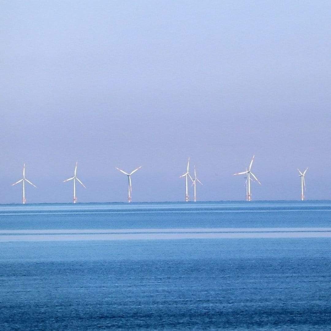 Eolico, si spacca il fronte, Salvemini: “Non si può dire di sì all’eolico offshore senza un Piano di gestione marittima”